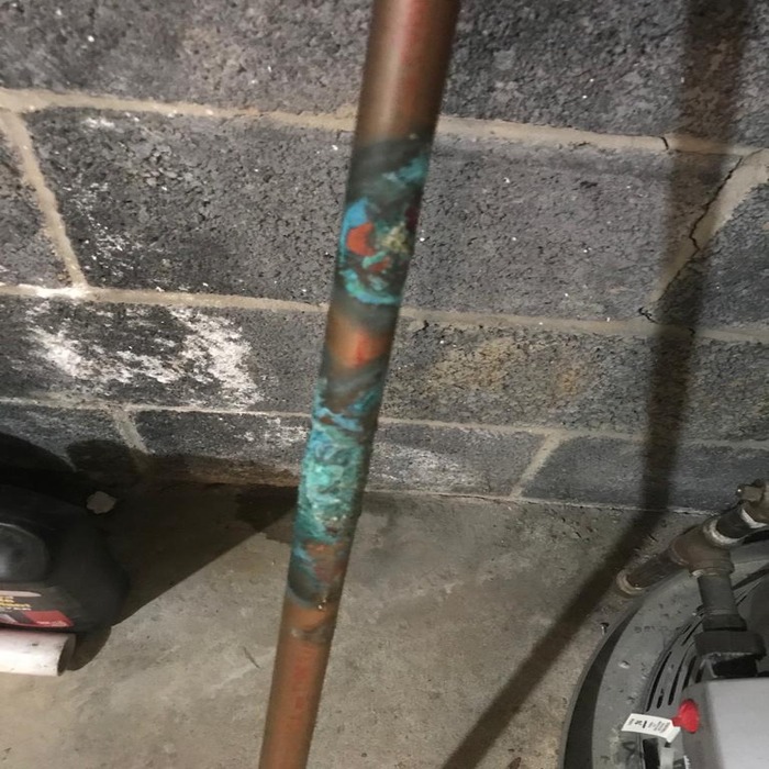 IMG-20200406-WA0005_112